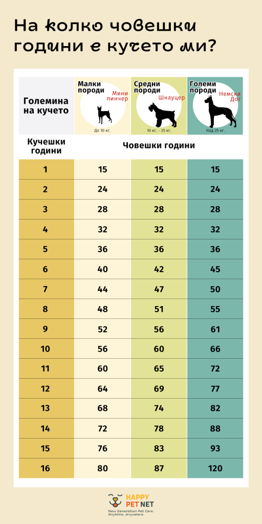 На колко човешки години се равняват годините на кучето ми