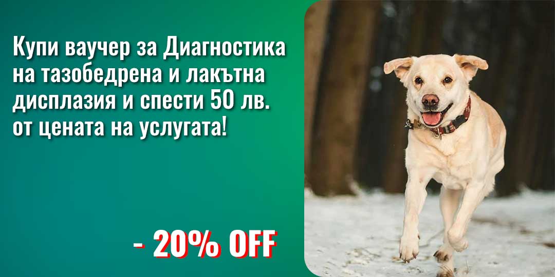 Dysplazia---HPN-Promo-Banner