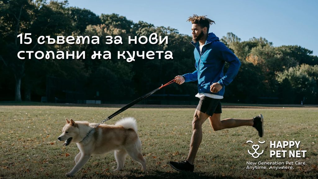15 съвета за нови стопани на кучета
