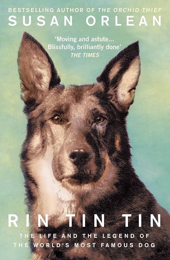 Интересни факти за немските овчарки, които може би не знаехте! Happy Pet Net 6 Интересни факти за немските овчарки, които може би не знаехте! Happy Pet Net 5