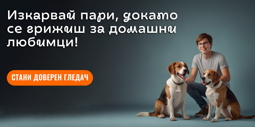 Стани доверен гледач в HAPPY PET NET