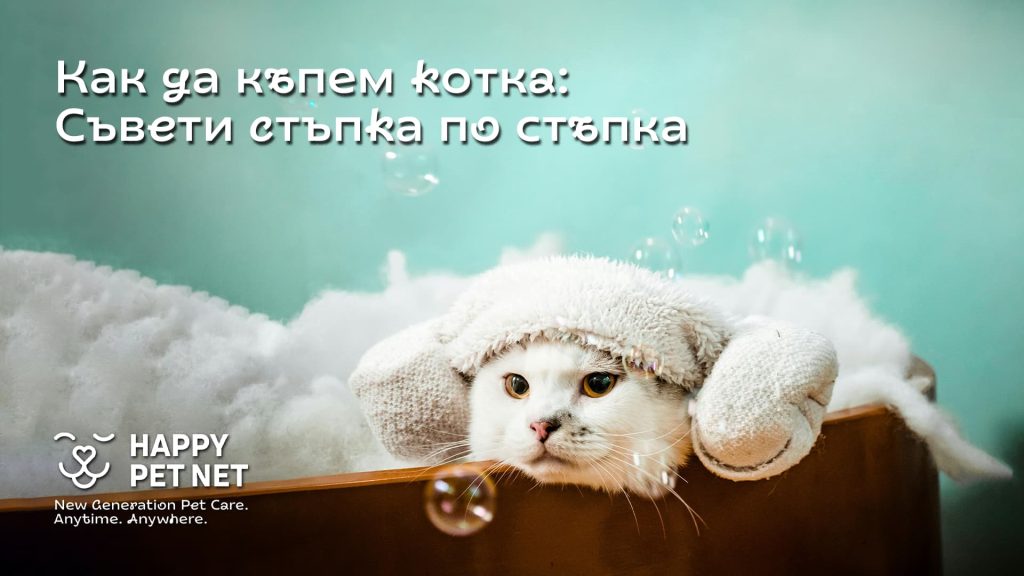 Как да къпем котка: Съвети стъпка по стъпка