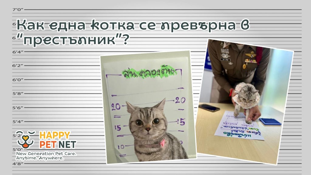 Снимката на този „престъпник” може би е най-смешното и сладко нещо, което ще видите днес