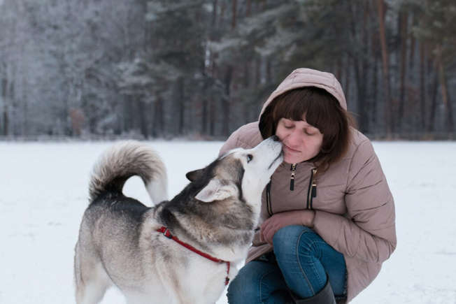 7 породи кучета, които мразят други кучета, но обичат хората Happy Pet Net 3 Хъски целува бузата на своя стопанин