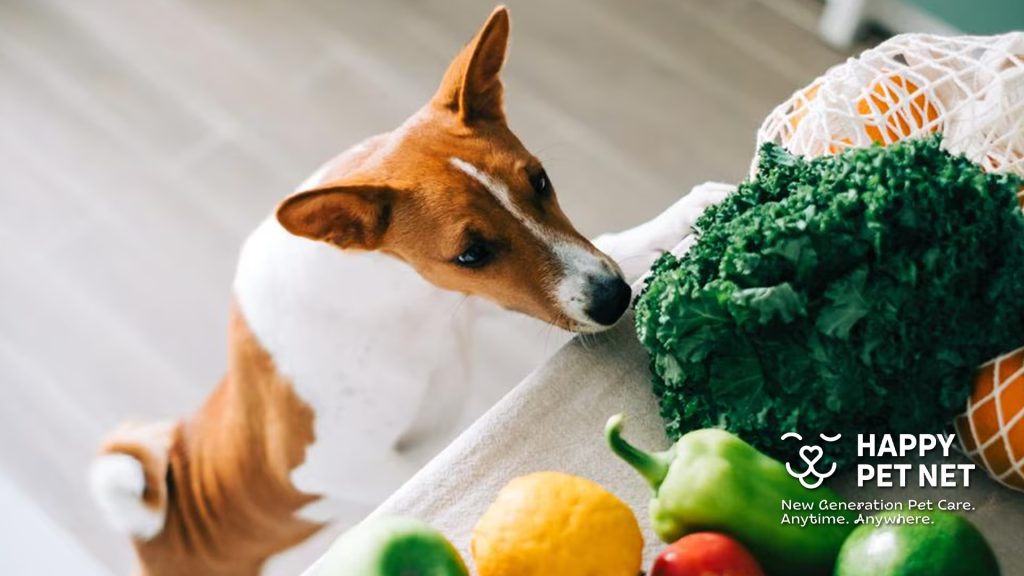 Какви зеленчуци могат да ядат кучетата?