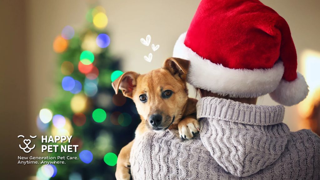 9 начина да включите кучето си в Коледните празници