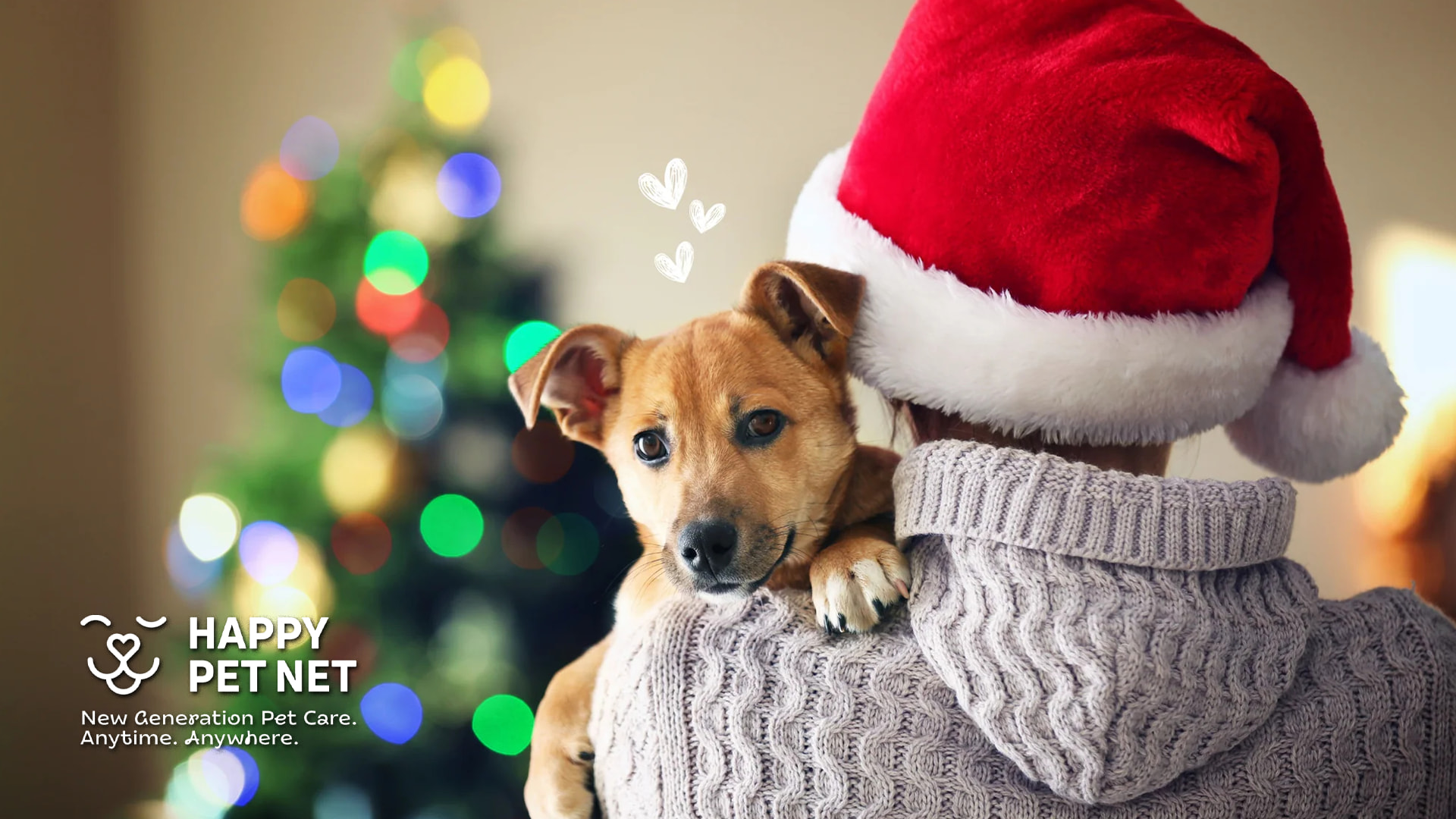 9 начина да включите кучето си в Коледните празници