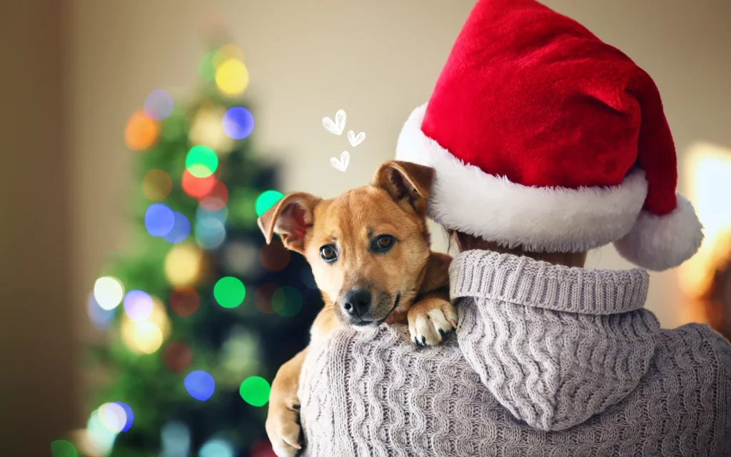 8 съвета как да предпазите любимеца си през Коледните празници Happy Pet Net 1 Куче на рамо пред коледна елха